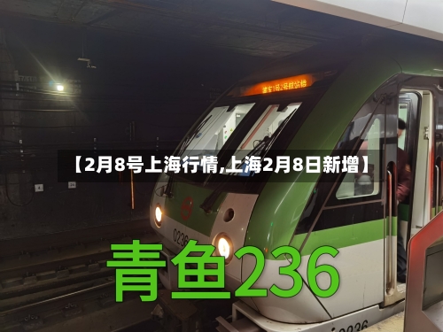【2月8号上海行情,上海2月8日新增】
