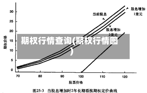 期权行情查询(期权行情图)-第3张图片