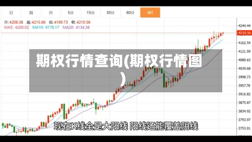 期权行情查询(期权行情图)-第2张图片