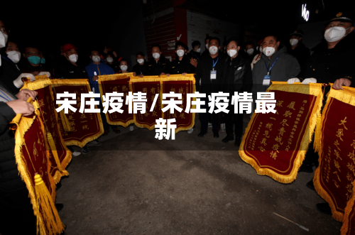 宋庄疫情/宋庄疫情最新-第2张图片