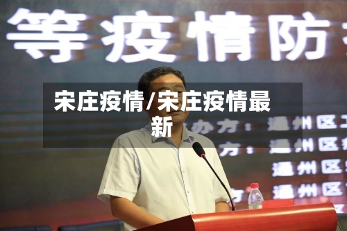 宋庄疫情/宋庄疫情最新