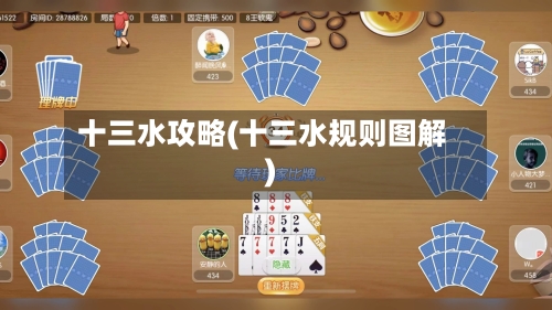 十三水攻略(十三水规则图解)
