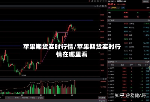 苹果期货实时行情/苹果期货实时行情在哪里看