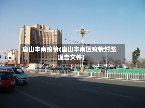 唐山丰南疫情(唐山丰南区疫情封路通告文件)-第2张图片