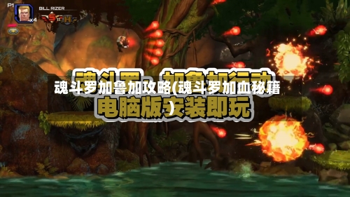魂斗罗加鲁加攻略(魂斗罗加血秘籍)-第2张图片