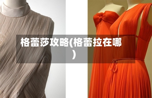 格蕾莎攻略(格蕾拉在哪)-第2张图片
