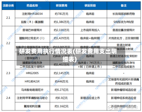 研发费用执行情况表(研发费用支出明细表)