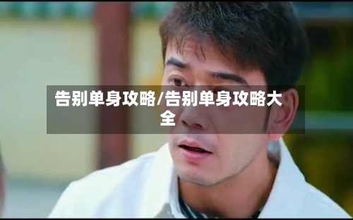 告别单身攻略/告别单身攻略大全