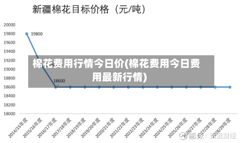 棉花费用行情今日价(棉花费用今日费用最新行情)-第2张图片