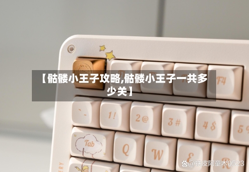 【骷髅小王子攻略,骷髅小王子一共多少关】