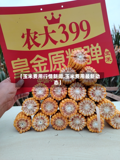 【玉米费用行情新闻,玉米费用最新动态】