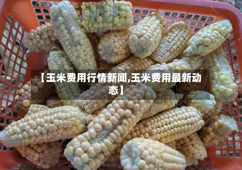 【玉米费用行情新闻,玉米费用最新动态】-第2张图片