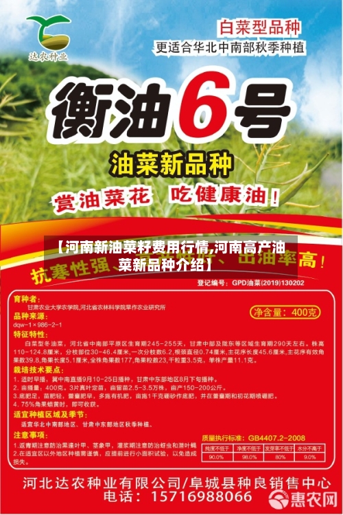 【河南新油菜籽费用行情,河南高产油菜新品种介绍】-第2张图片