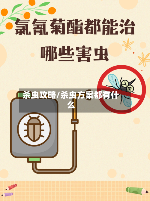 杀虫攻略/杀虫方案都有什么