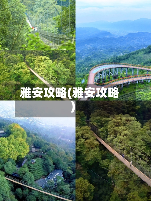 雅安攻略(雅安攻略)