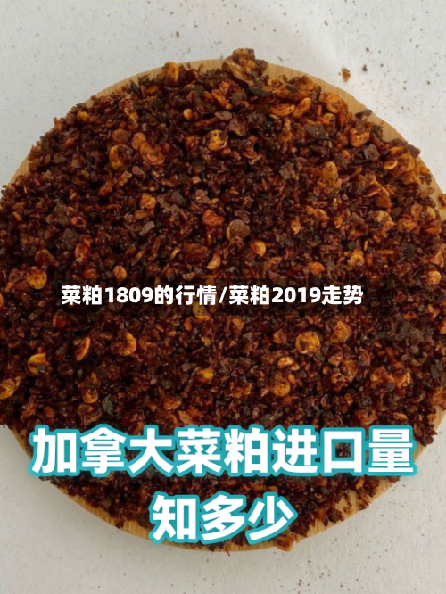 菜粕1809的行情/菜粕2019走势