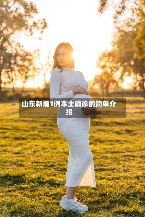 山东新增1例本土确诊的简单介绍