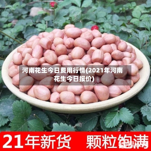 河南花生今日费用行情(2021年河南花生今日报价)