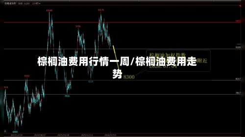 棕榈油费用行情一周/棕榈油费用走势