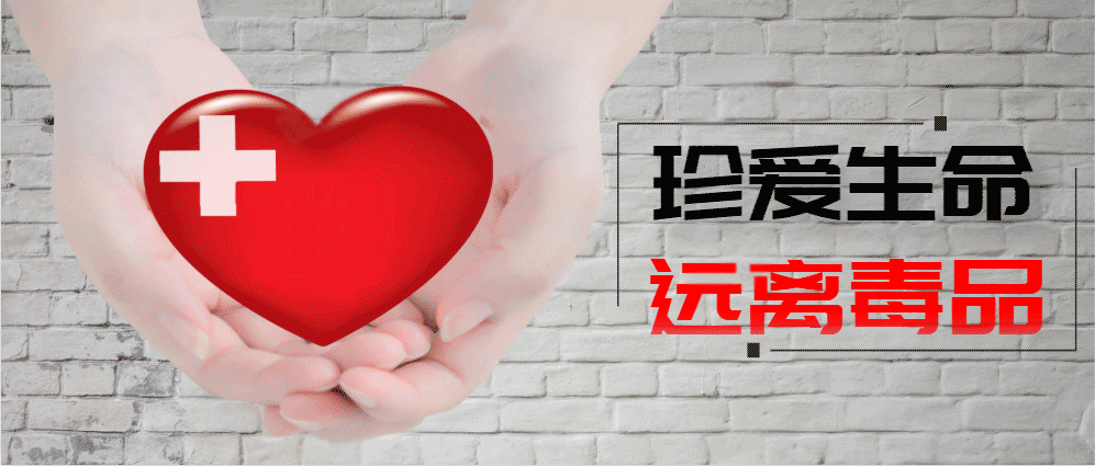 大连最新疫情最新通报今天情况/大连最新疫情动态-第2张图片