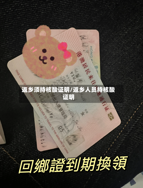 返乡须持核酸证明/返乡人员持核酸证明