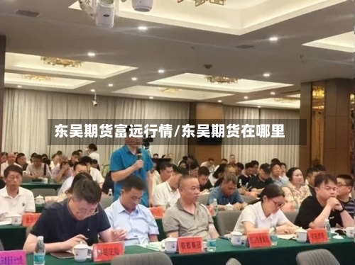 东吴期货富远行情/东吴期货在哪里