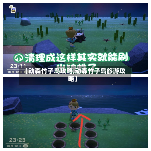 【动森竹子岛攻略,动森竹子岛旅游攻略】
