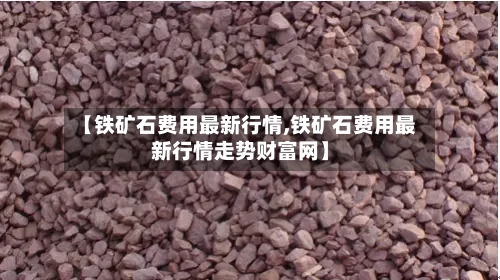 【铁矿石费用最新行情,铁矿石费用最新行情走势财富网】