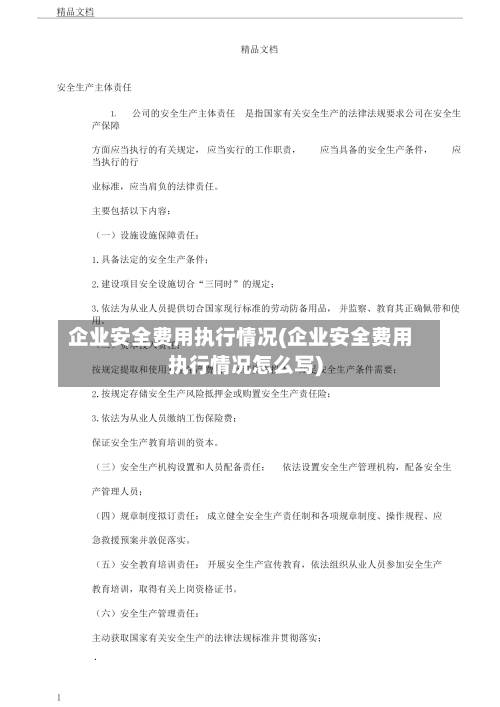 企业安全费用执行情况(企业安全费用执行情况怎么写)
