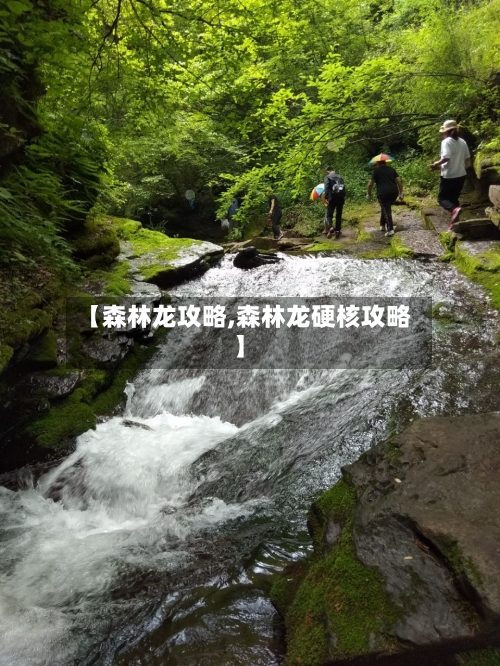 【森林龙攻略,森林龙硬核攻略】