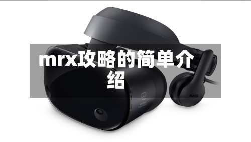 mrx攻略的简单介绍-第2张图片