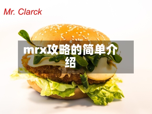 mrx攻略的简单介绍