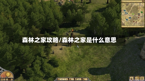森林之家攻略/森林之家是什么意思-第2张图片