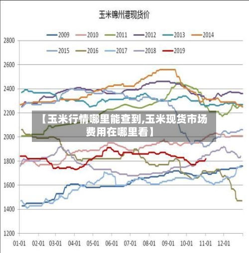 【玉米行情哪里能查到,玉米现货市场费用在哪里看】