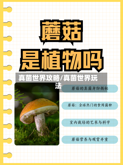真菌世界攻略/真菌世界玩法