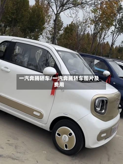 一汽奔腾轿车/一汽奔腾轿车图片及费用