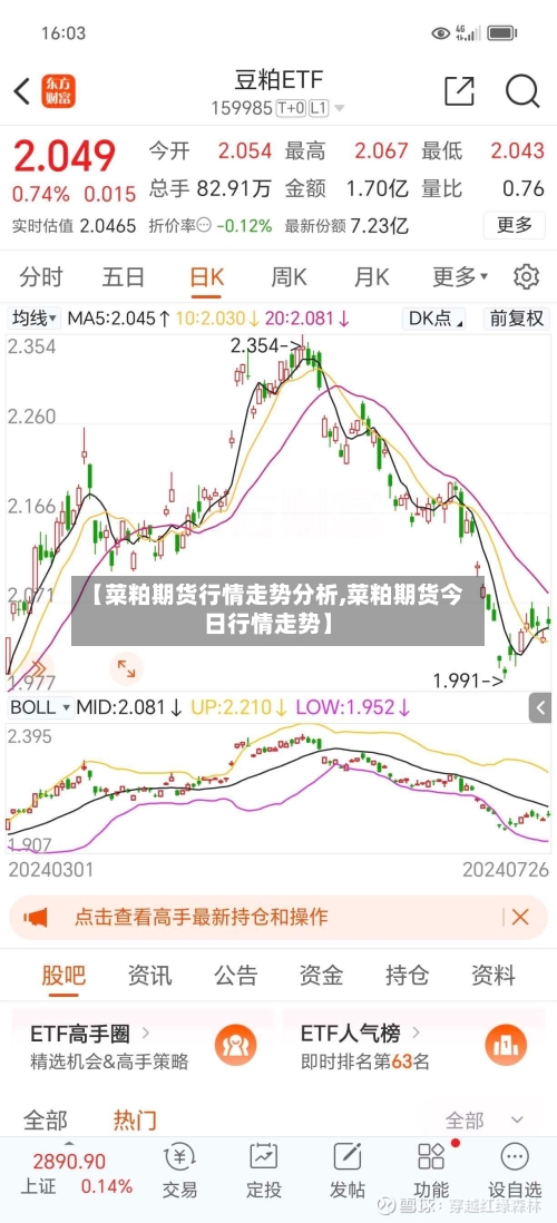 【菜粕期货行情走势分析,菜粕期货今日行情走势】-第3张图片