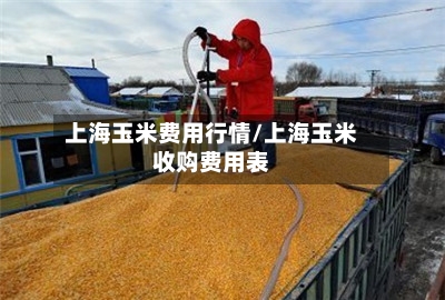 上海玉米费用行情/上海玉米收购费用表-第2张图片
