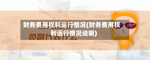 财务费用权利运行情况(财务费用权利运行情况说明)-第2张图片