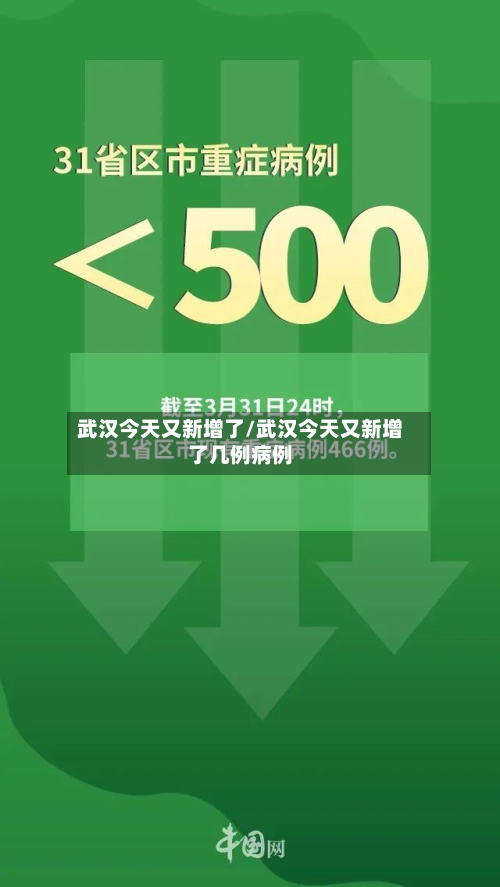 武汉今天又新增了/武汉今天又新增了几例病例