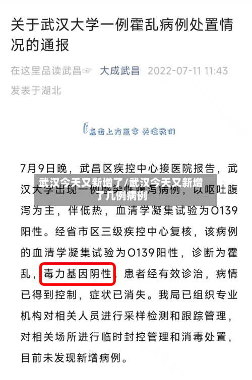 武汉今天又新增了/武汉今天又新增了几例病例-第3张图片