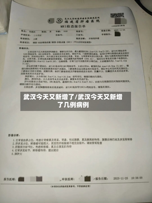 武汉今天又新增了/武汉今天又新增了几例病例-第2张图片