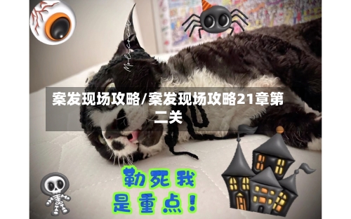 案发现场攻略/案发现场攻略21章第二关