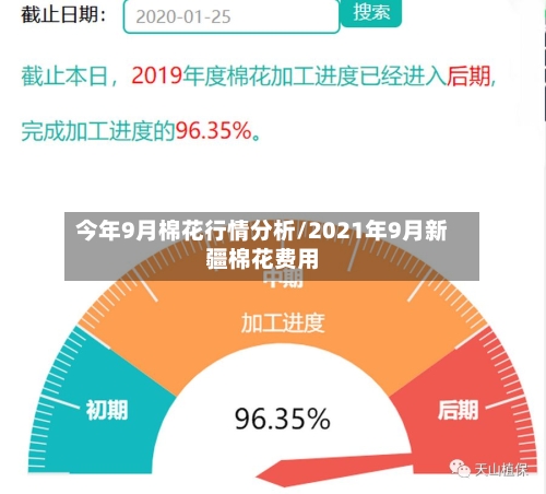 今年9月棉花行情分析/2021年9月新疆棉花费用-第3张图片