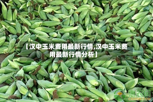 【汉中玉米费用最新行情,汉中玉米费用最新行情分析】-第2张图片