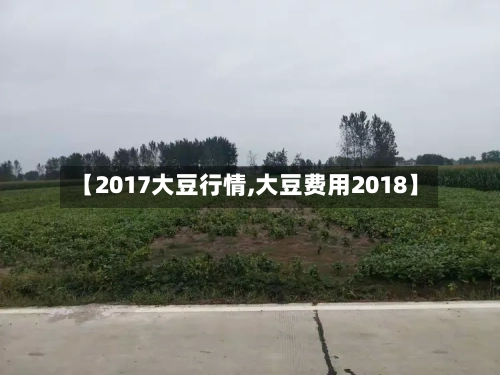 【2017大豆行情,大豆费用2018】-第2张图片