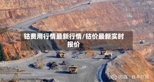 钴费用行情最新行情/钴价最新实时报价-第3张图片