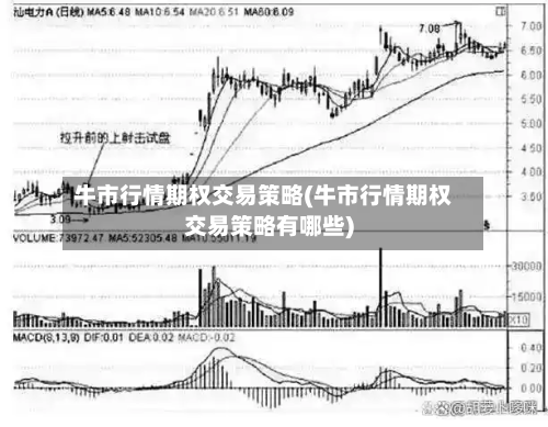 牛市行情期权交易策略(牛市行情期权交易策略有哪些)