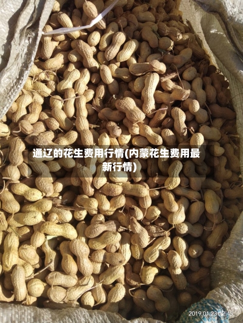通辽的花生费用行情(内蒙花生费用最新行情)-第3张图片
