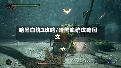暗黑血统3攻略/暗黑血统攻略图文